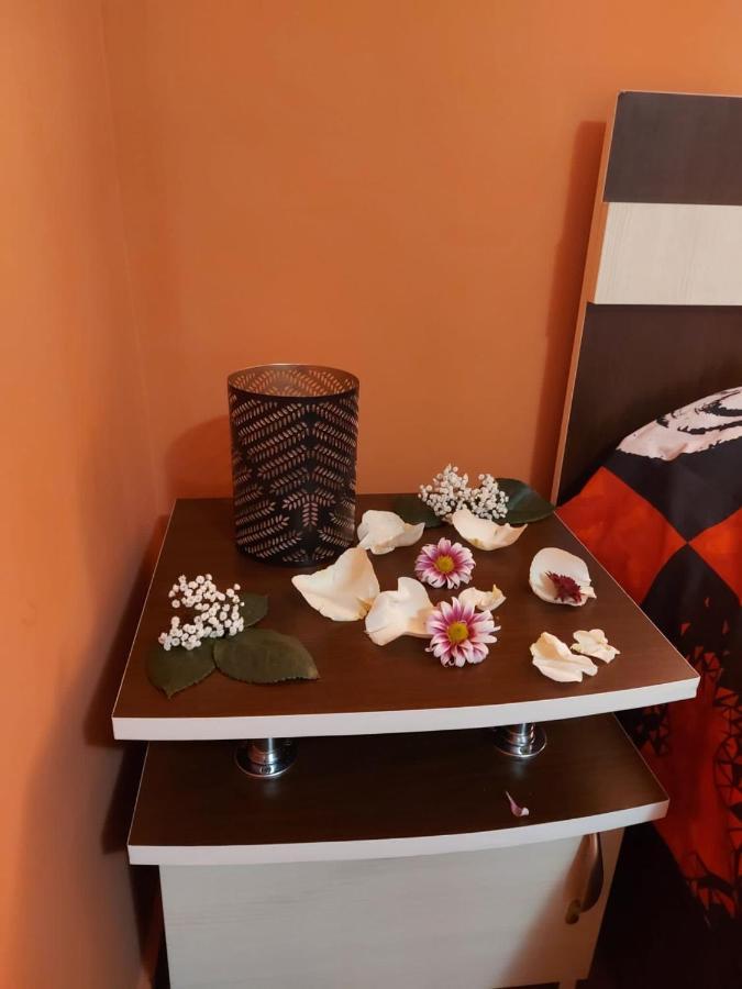 Studio Legend Pucioasa المظهر الخارجي الصورة